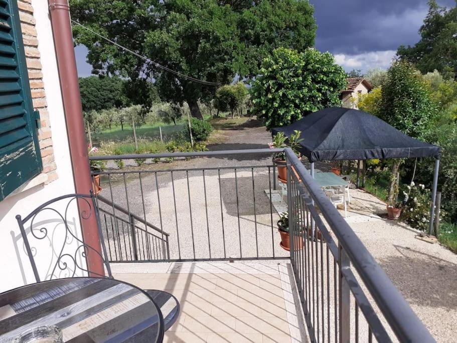 Costa Del Sole 42 Apartment Cetona Exterior photo